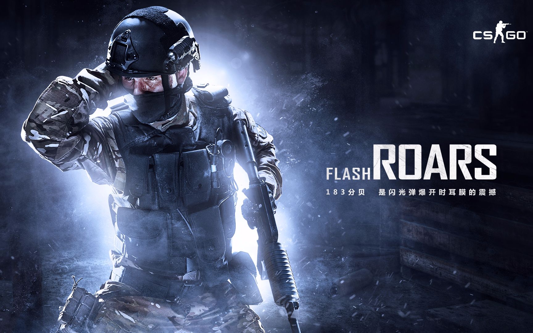 从而适应新 从而适应新